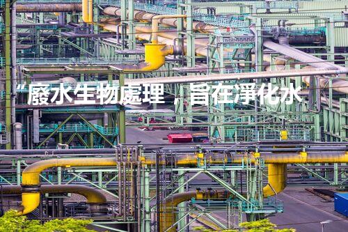 “廢水生物處理，旨在凈化水源，守護碧水藍(lán)天”